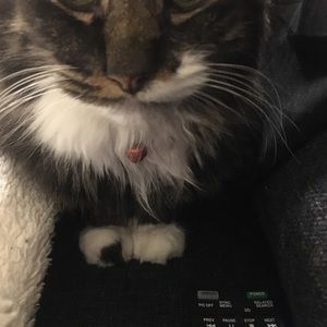 Meet your Posher, Meni